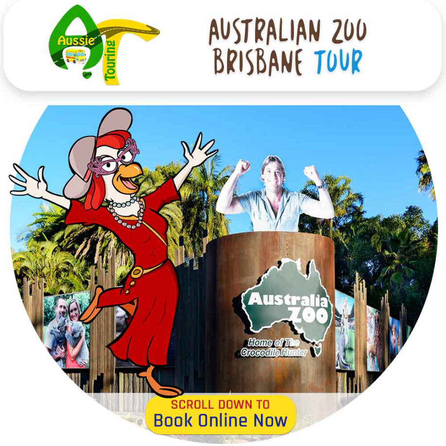 Australian Zoo Brisbane Day Tour Home of Steve Irwin Crocodile Hunter, Eumundi Markets and Sunshine Coast Tours Aussie Touring Mount Tamborine Wine Tours, Cooee Tours Australia Bus Tour Company with Mercedes Benz Buses for Winery Tours, Nature Tours, City Tours, Fun Tours, Golf Tours, Queensland, Brisbane, Toowoomba, Gold Coast, Sunshine Coast, Cairns, Wide Bay, Bryon Bay, Sydney