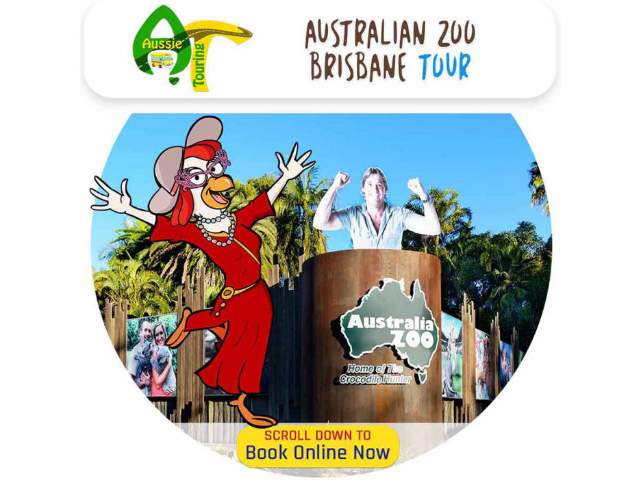 Australian Zoo Brisbane, Steve Irwin Crocodile Park,  Eumundi Markets, Sunshine Coast, Hinterland Aussie Touring Australia Bus Tour Company with Mercedes Benz Buses for Winery Tours, Nature Tours, City Tours, Fun Tours, Golf Tours, Queensland, Brisbane, Toowoomba, Gold Coast, Sunshine Coast, Cairns, Wide Bay, Bryon Bay, Sydney, food world northern rivers