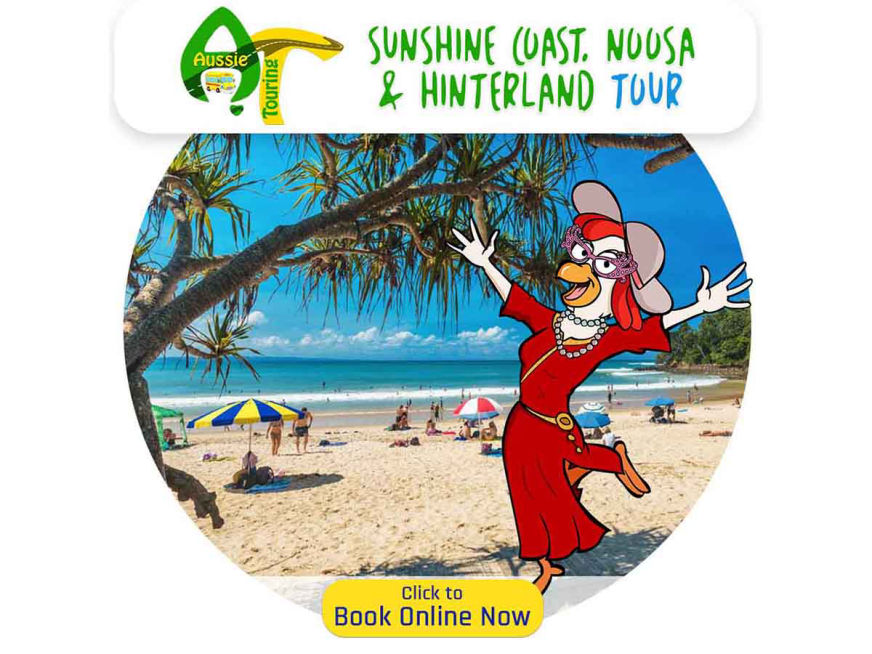 Aussie Touring Bus Tour Company with Mercedes Benz Buses for Winery Tours, Nature Tours, City Tours, Fun Tours, Golf Tours, Queensland, Brisbane, Toowoomba, Gold Coast, Sunshine Coast, Cairns, Wide Bay, Bryon Bay, Sydney, food world northern rivers