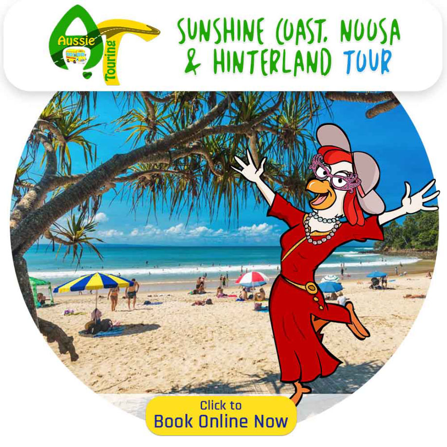 Ausse Touring Bus Tour Company with Mercedes Benz Buses for Winery Tours, Nature Tours, City Tours, Fun Tours, Golf Tours, Queensland, Brisbane, Toowoomba, Gold Coast, Sunshine Coast, Cairns, Wide Bay, Bryon Bay, Sydney, food world northern rivers